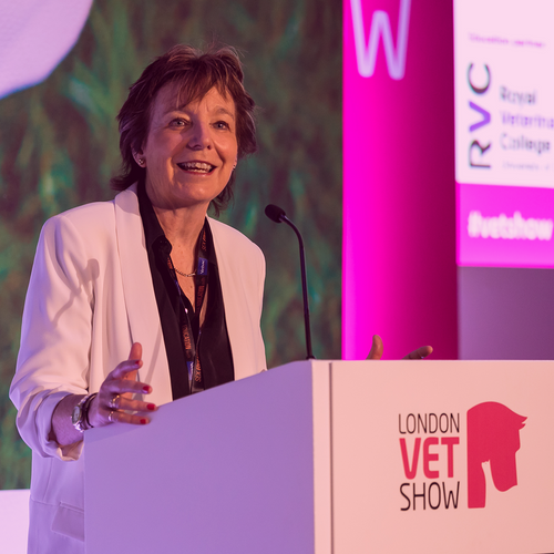 Behind the Themes with Professor Jill Maddison